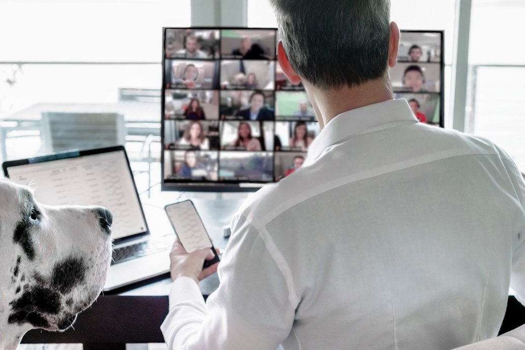 Projektmanager mit Hund, Tablet, Smartphone und großen Wanddisplay im Büro bei der Internetkonferenz